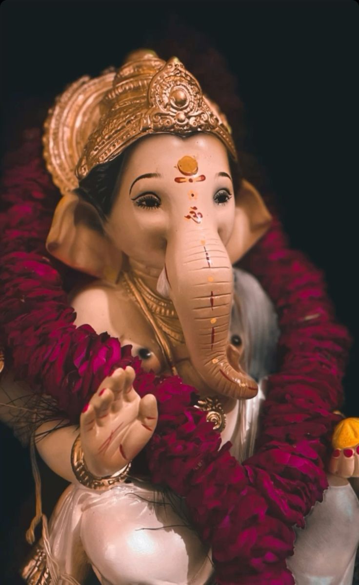 कटनी जिले में गणेश विसर्जन के दौरान सुरक्षा का विशेष ध्यान रखने का निवेदन