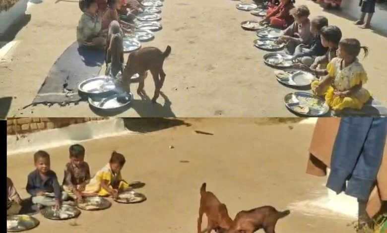 आंगनबाड़ी केंद्र में घोर लापरवाही का मामला: जहाँ बच्चे खा रहे थे खाना, वहीं बकरियां कर रही थीं ‘मध्यान्ह भोजन’