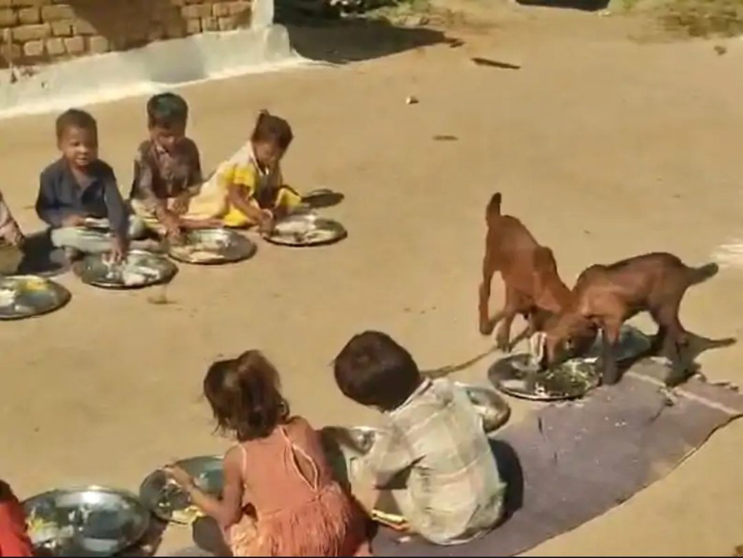 आंगनवाड़ी में भोजन वितरण में गंभीर लापरवाही: परियोजना अधिकारी को कारण बताओ नोटिस, सुपरवाइजर की विभागीय जांच के आदेश